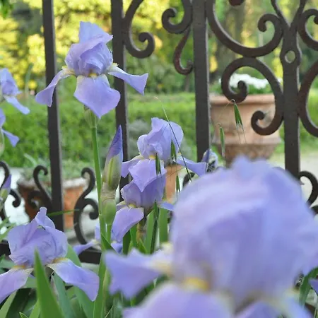 Bed & Breakfast Armonie Di Incontri 3*