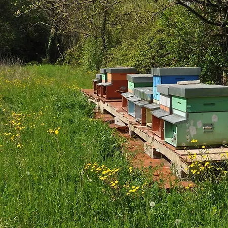 Bed & Breakfast Armonie Di Incontri 3*