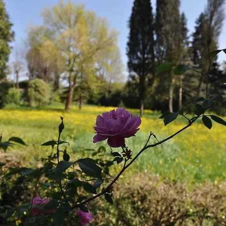 Armonie Di Incontri Bed & Breakfast