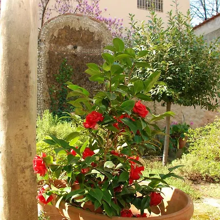 Secret Garden *