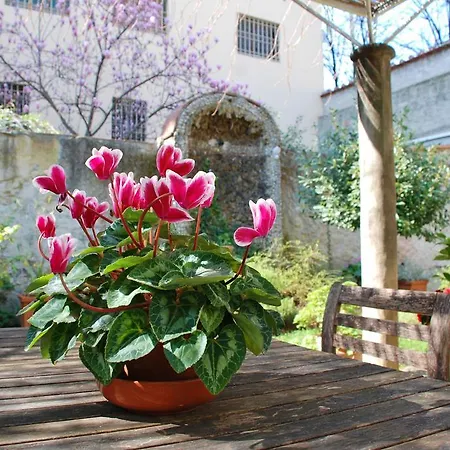Secret Garden Apartment Florence