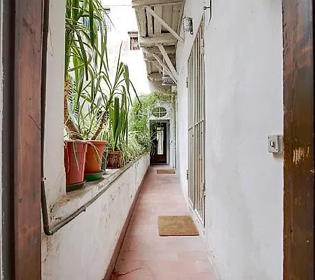 Florence Rental