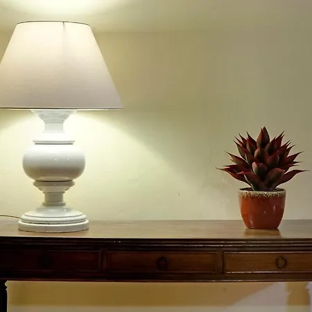 Pitti Living Hotel