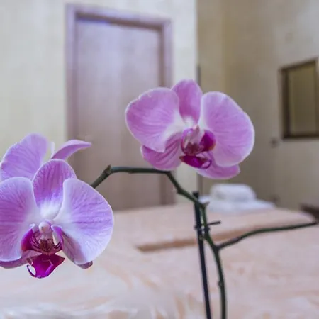 Residenza D'epoca Giardino Corsini Hotel Florence