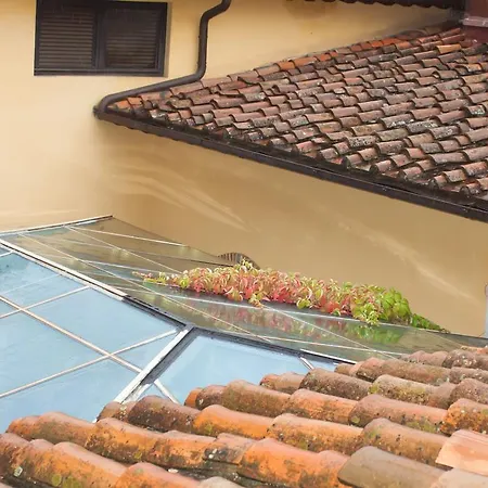 Apartment San Frediano Holidays *