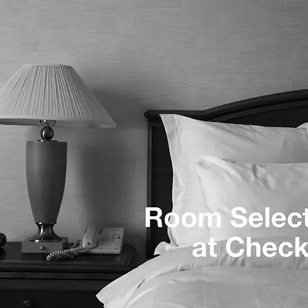 Hotel Albion 3*