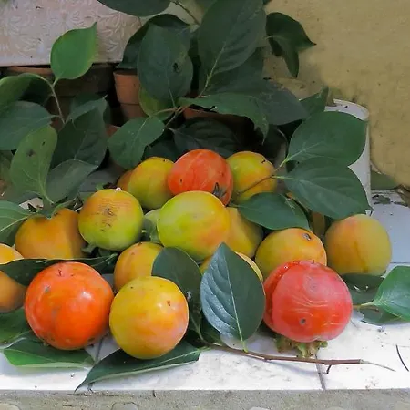 Bed & Breakfast Orti Di Cimabue