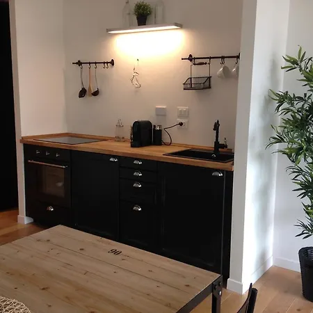 Appartamento Industia Loft *