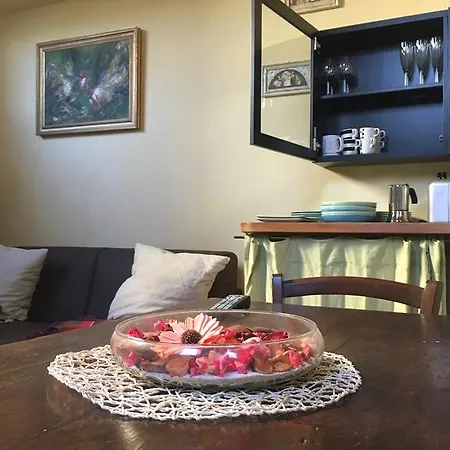 Santa Croce Elegant With Garage Apartment Florence