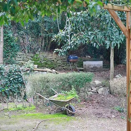 Sweet Garden Dei Gelsomini *