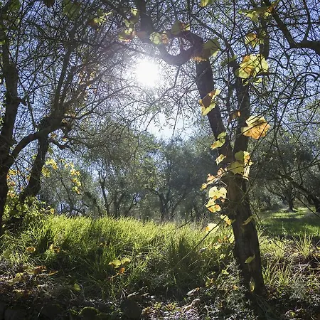 Fattoria Il Milione Alloggio per agriturismo
