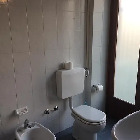 ボドニ