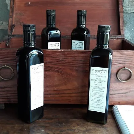 Alloggio per agriturismo Fattoria Il Milione