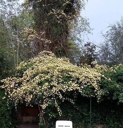 Poggio Alla Scaglia