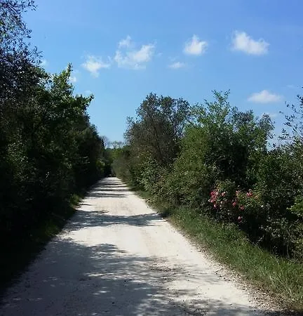 Poggio Alla Scaglia Hébergement de vacances
