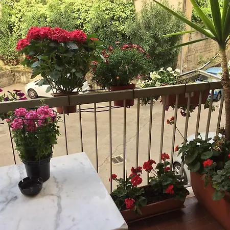 Cinzia *