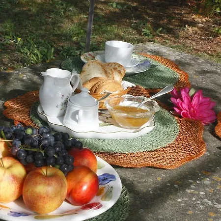 Ulivi Di Castello Bed & Breakfast