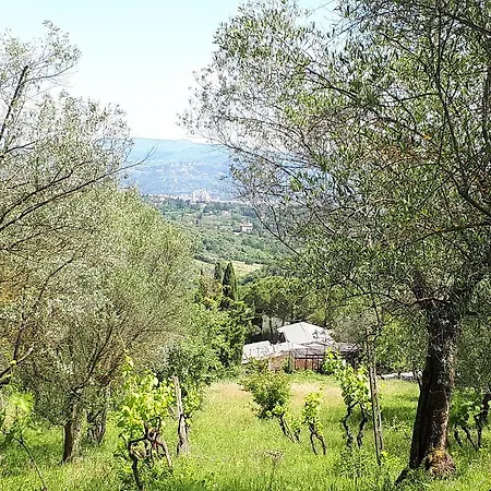 Fattoria Il Milione Alloggio per agriturismo