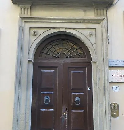 Orchidea Firenze