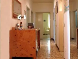 Bed & Bed Peterson 2* Florenz