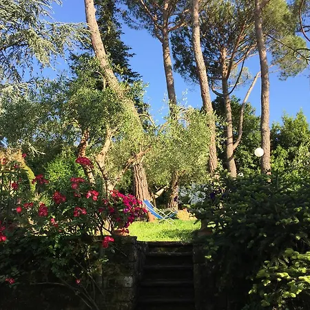 Fiorenza Florence