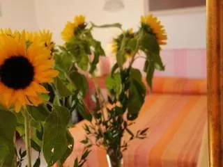 Daniel 3* Firenze