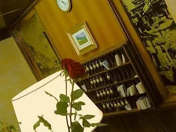 Hotel Da Verrazzano 3*