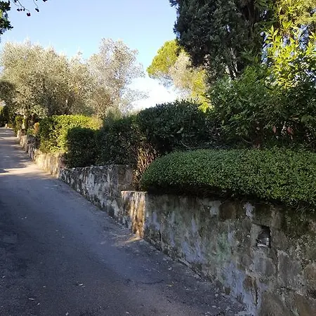 Ulivello *