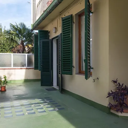 Roommo Cimabue
