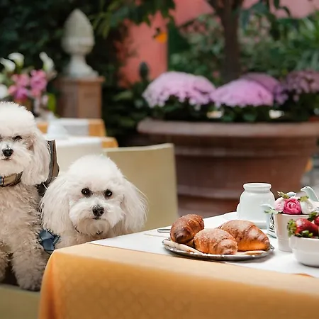 Palazzo Dal Borgo Hotel 4*