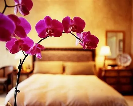 Davanzati Hotel Firenze