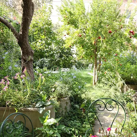 Domus Giorgio Apartment *