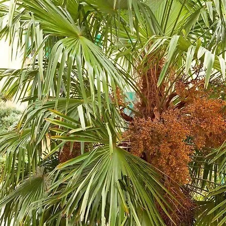 Hotel Garden