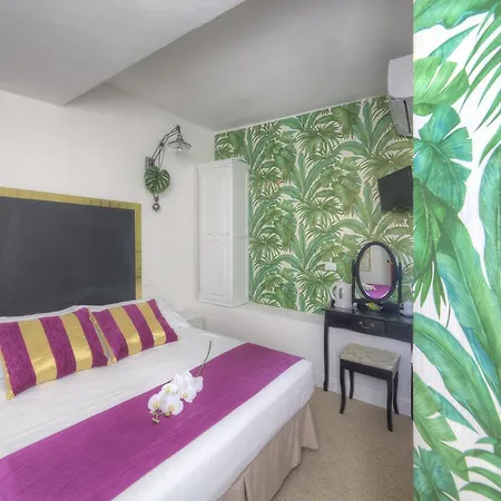 招待所 佛罗伦萨大教堂鲜花住宿加早餐旅馆 佛罗伦萨