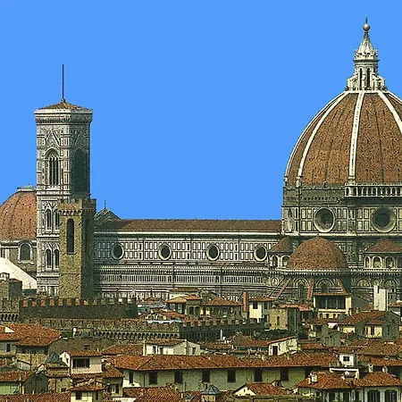 Pitti - Flo