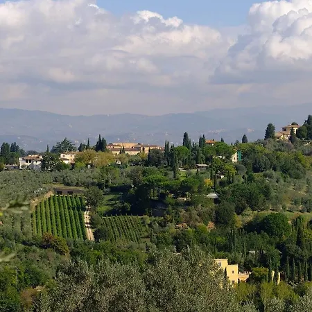 Ulivello