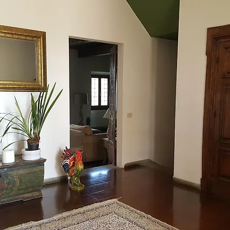 Ulivello *