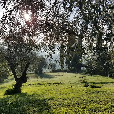 Ulivello Landhaus Florenz