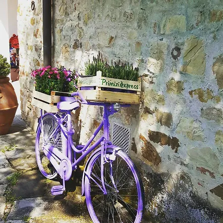 Ulivello * Florenz