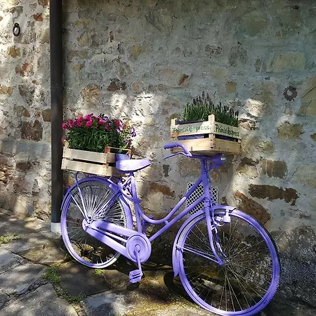 Ulivello *