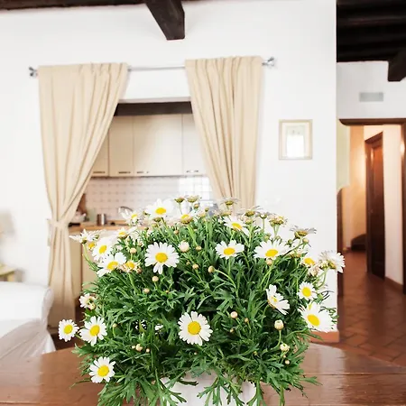 Apartment Rosa 8 *
