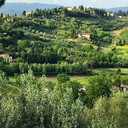 Ulivello * Florenz