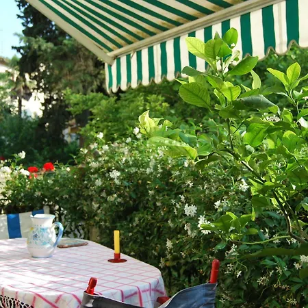 Le Ortensie Firenze