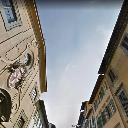 Gallo Firenze