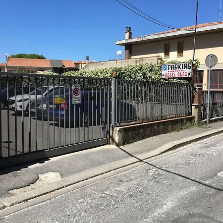 アレックス 3*