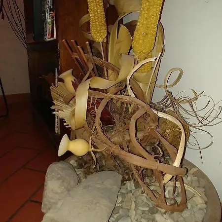 Antica Posta Florencie
