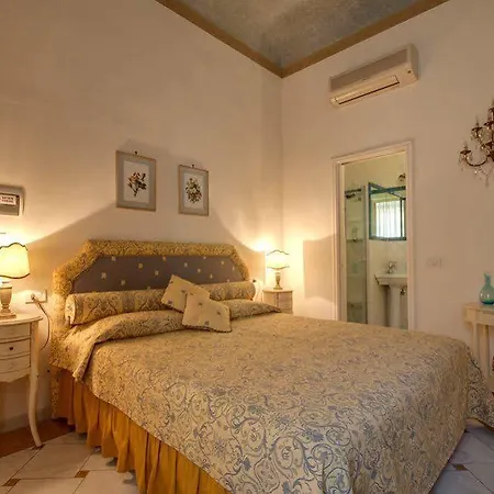 Dream Domus