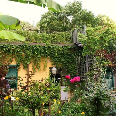 Garden Terrace Oltrarno *