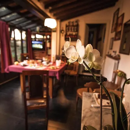 Rifredi Bed & Breakfast Firenze