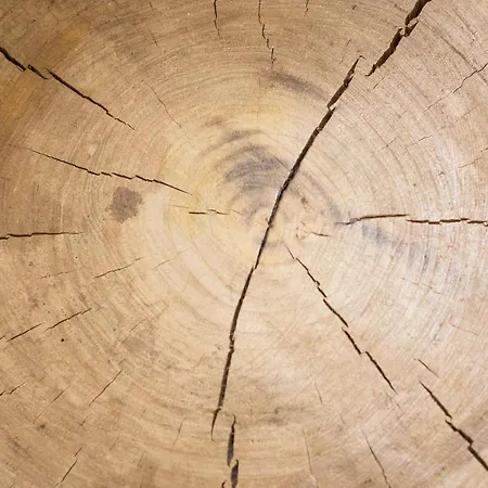 Eco Urban Отель типа 